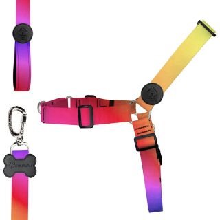 KIT ANTIPUXÃO CITRUS - PEITORAL + GUIA G