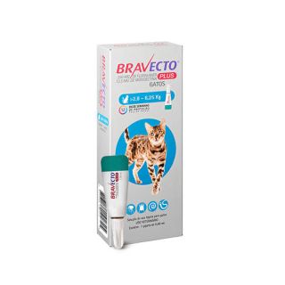 MSD BRAVECTO PLUS CAT 250MG C/1 PIPETA
