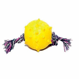 Bola Dino Macica Mamona Bone 65mm