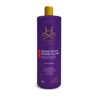 Hidratação Hydra Intense Repair Máximo Volume 480ml