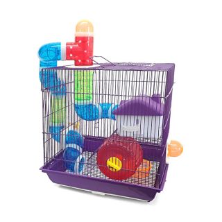 Gaiola American Pets Labirinto Cores Sortidas para Hamsters