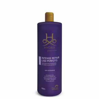 Hidratação Hydra Intense Repair Liso Perfeito 480ml