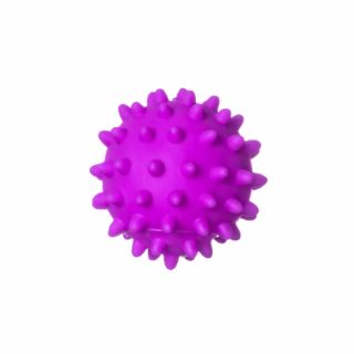 Pet Works Bola Espinho Vinil Roxo 8,5cm
