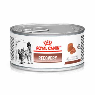 Ração Úmida Royal Canin Veterinary Recovery para Cães e Gatos em Recuperação 195 g