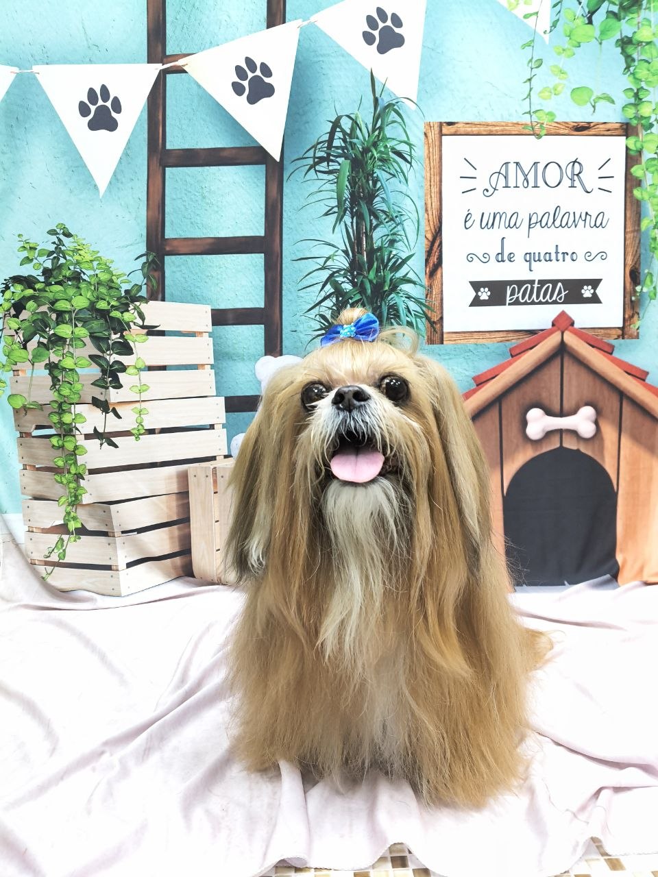 Banho